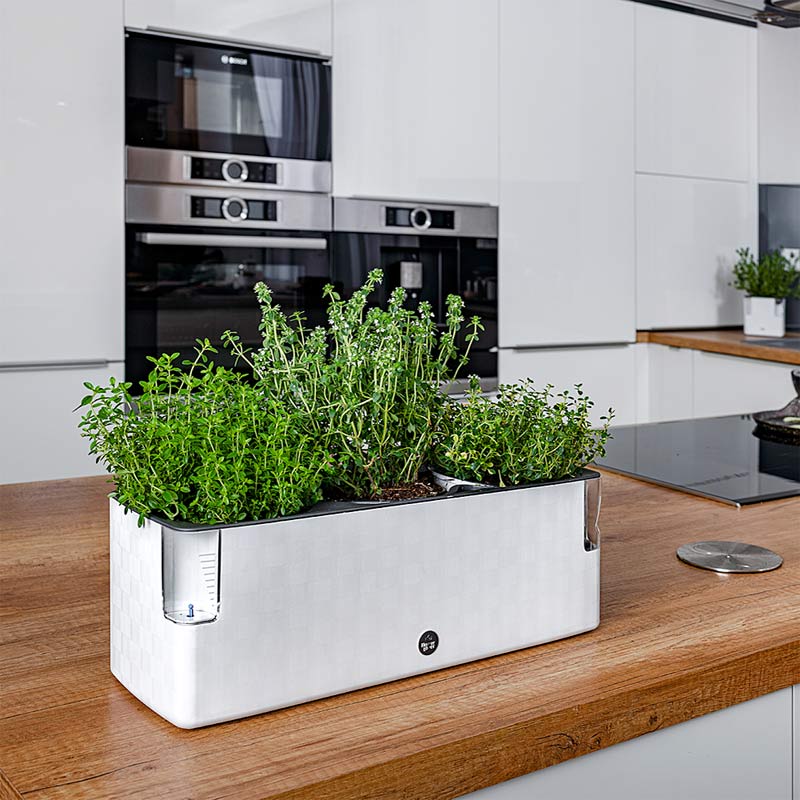 Pot de culture pour 3 pots d'herbes aromatiques Cobble Trio de Flower Lover