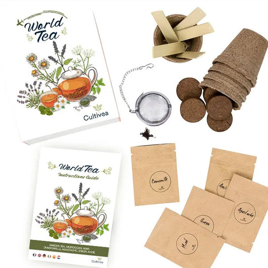 kit complet prêt à pousser Cultivea thés du monde pour cultiver soi-même les feuilles de thés et d'infusions bio et garanties sans traitement