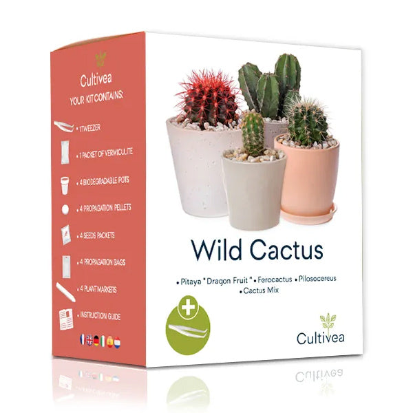 kit wild cactus cultivea pour faire pousser des cactus chez soi en toute simplicité