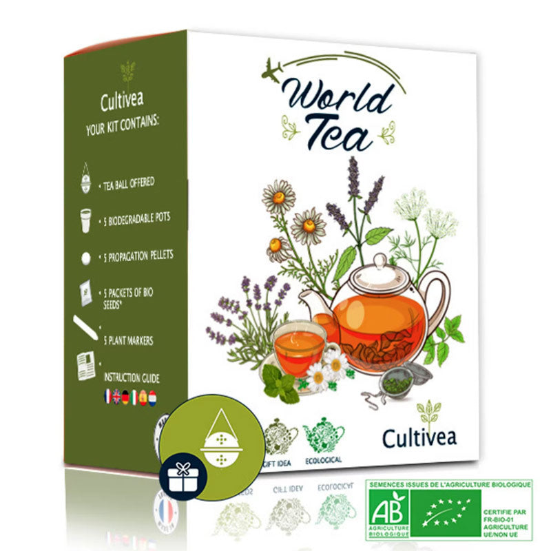 kit cultivea thés et infusions, le cadeau parfait pour les amateurs et amatrices de thés. un kit original et amusant pour faire pousser soi-même les feuilles de thé et d'infusion