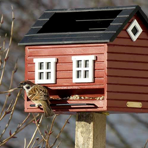 les oiseaux adorent cette mangeoire maison rouge de Wildlife Garden : ils viennent se nourrir, boire et se baigner