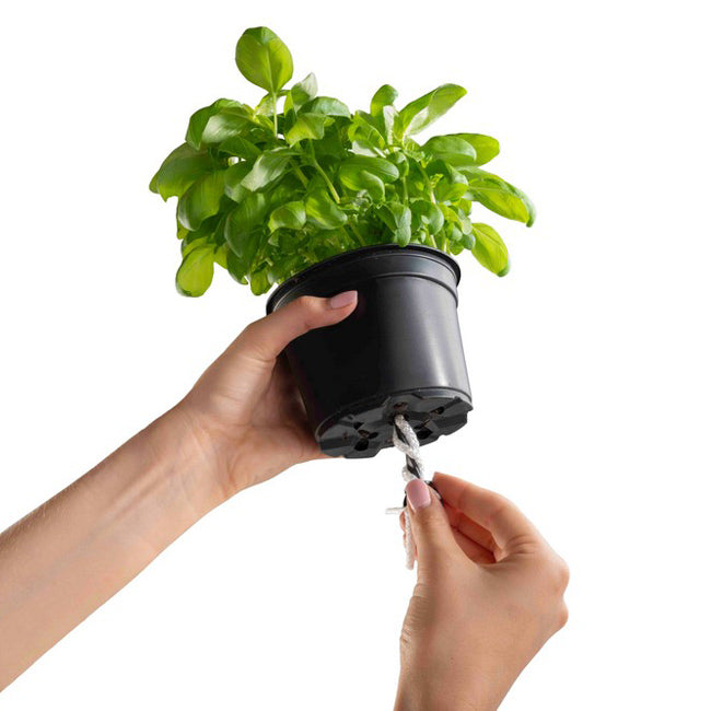 Insérez les deux filaments dans les trous du pot de votre plante et remplissez le cobble uno jusqu'au niveau visible sur le flotteur et c'est prêt !
