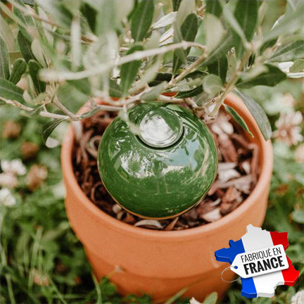 Olla poterie artisanale à planter pour un arrosage naturel des plantes - 20cl / 40cl - Vert