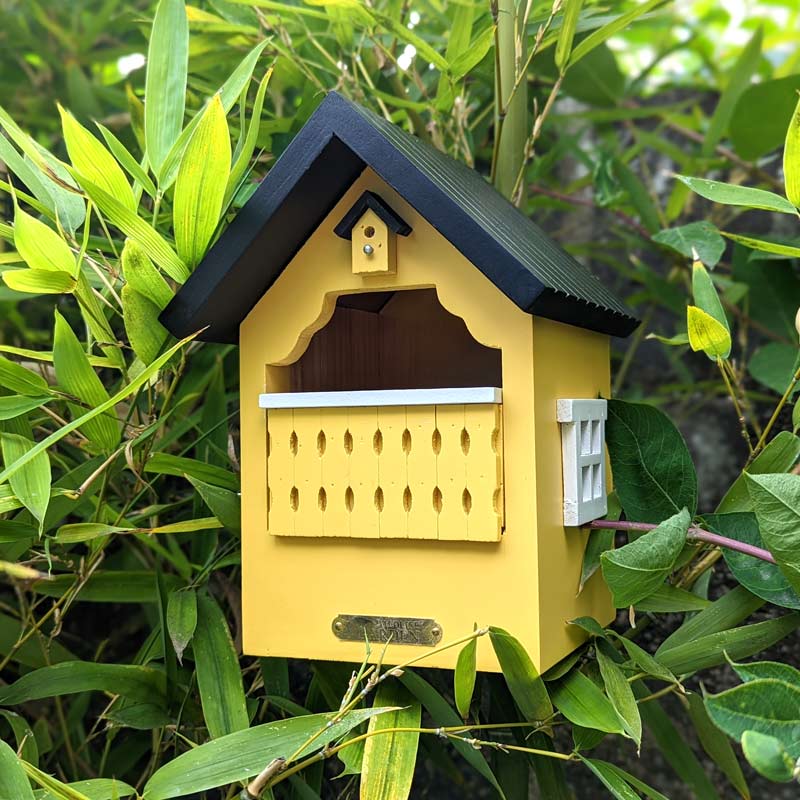nichoir à balcon jaune Wildlife Garden adapté aux petits oiseaux: rouge-gorges, troglodytes d’Europe, gobe-mouches noirs, bergeronnettes. Bois massif et peinture écologique