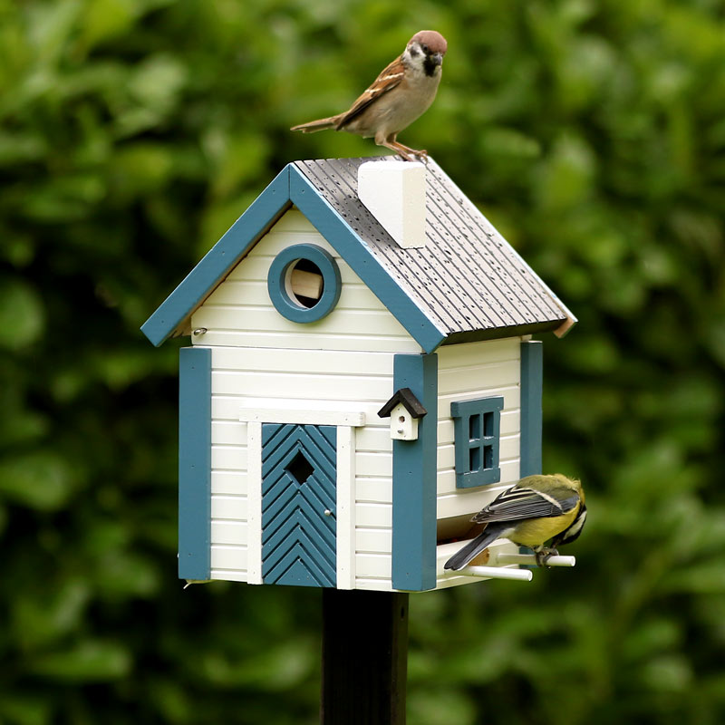 nichoir mangeoire cabane à oiseaux Multiholk maison bleue et blanche wildlife garden