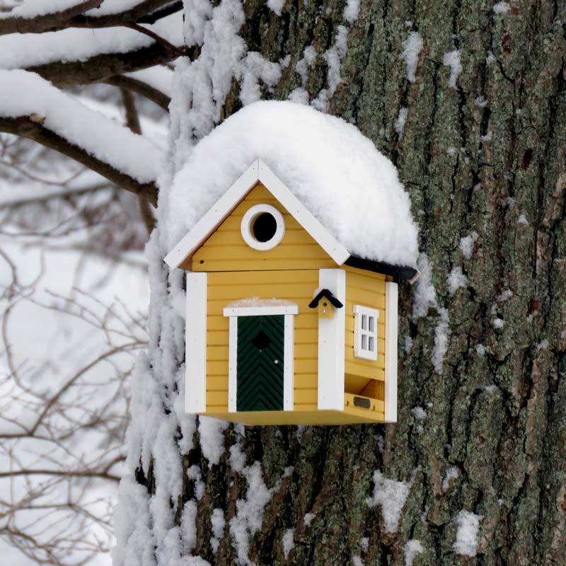 nichoir mangeoire en bois Wildlife Garden maison jaune sous la neige