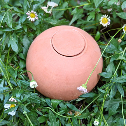 poterie d'arrosage, à la fois élégante et pratique, qui prend soin des plantes à notre place et qui permet d'économiser 50 à 70% d'eau