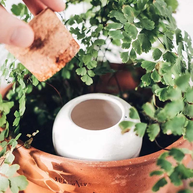 Olla Pépin en terre cuite émaillée Bleu Métal - Arrosage naturel et progressif des plantes