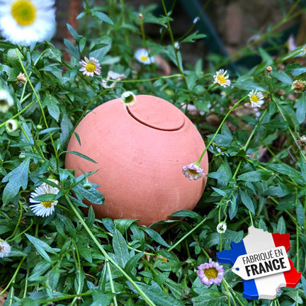 les ollas sont des boules d'arrosage fabriquées à la maison de manière artisanale. Elles permettent un arrosage autonome et maitrisé des plantes