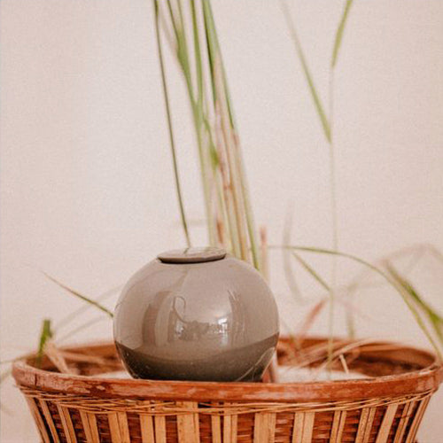 les ollas sont des poterie d'irrigation à planter dans la terre aux pieds des plantes