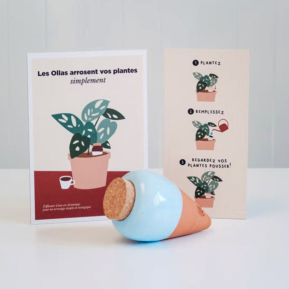 olla pepin bleu celestine. Les ollas arrosent vos plantes simplement. Plantez, remplissez et regardez vos plantes pousser!