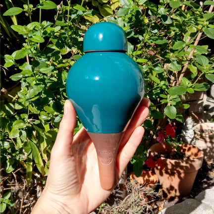 les ollas sabeur bleu canard de la poterie Lutton prennent soin des plantes grâce à un arrosage ciblé et lent au niveau des racines. En plus, les ollas permettent d'économiser l'eau par rapport à un arrosage classique