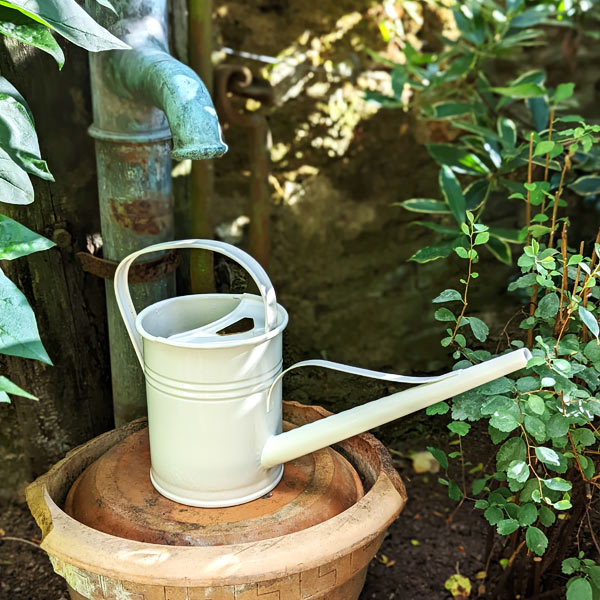 Arrosoir rétro Plint blanc 1,5 litres. Magnifique arrosoir qui rappelle les arrosoirs que l'on utilisait autrefois