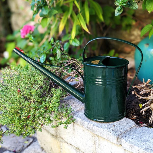 Arrosoir vintage Plint 1,5 litres vert anglais, idéal pour arroser de manière précise sans mouiller les feuilles des plantes