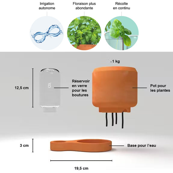 Voici ce que contient le kit de bouturage Greenfinity : un réservoir en verre pour les boutures, un pot en terre cuite pour les plantes, une base pour l'eau, des mèches absorbantes pour amener l'eau jusqu'à la plante et un mode d'emploi
