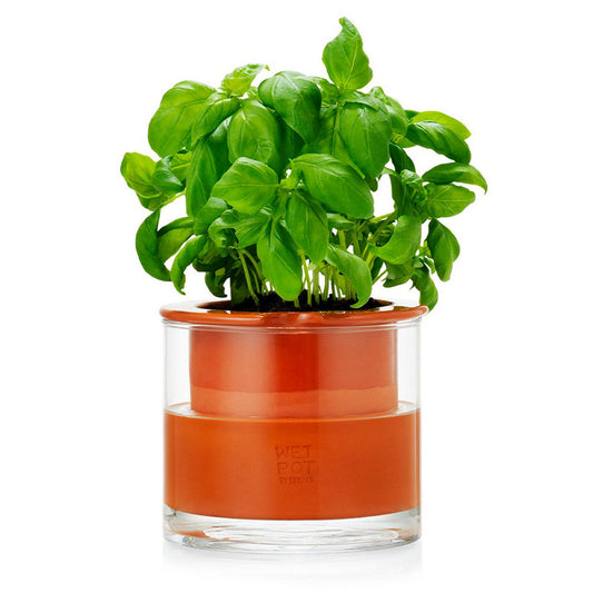 joli pot en céramique avec résevoir d'eau taille s, le pot idéal pour les herbes aromatiques comme le basilic