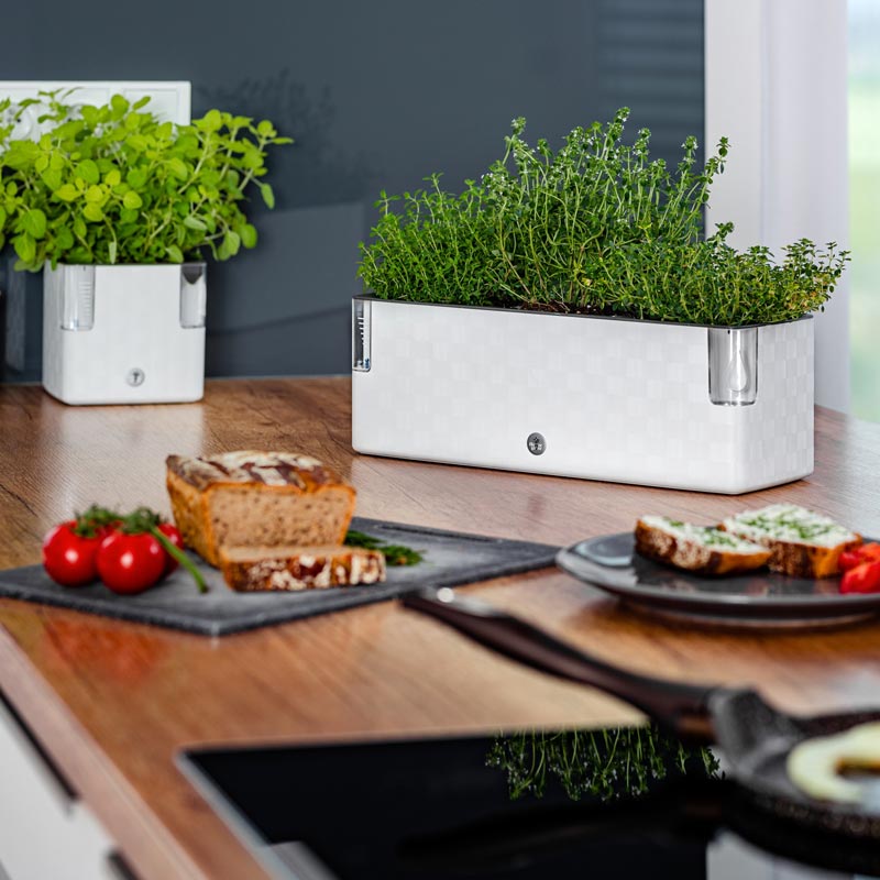 la jardiniere à aromates cobble trio flower lover permet de cultiver trois plantes aromatiques en pot sans se soucier de l'arrosage. Les plantes sont irriguées en douceur grâce à la réserve d'eau et aux mèches absorbantes