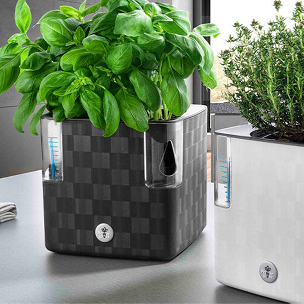 pot auto arrosant avec mèches absorbantes. le pot cobble uno de flower lovers arrose à notre place. Pratique, le témoin de niveau d'eau nous indique quand il faut remplir la réserve d'eau