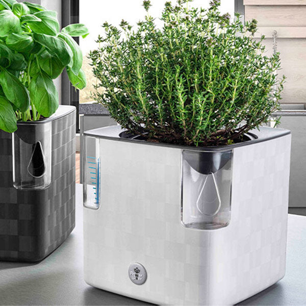 pot avec réserve d'eau et indicateur de niveau pour l'arrosage autonome des herbes aromatiques. Ce pot cobble uno de flower lover est disponible en blanc cristal et gris anthracite