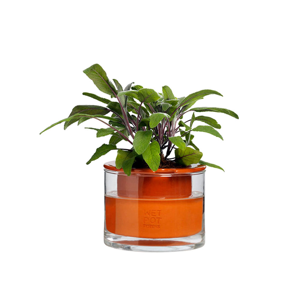 pot a reservoir d'eau wet pot xs x-small, le pot qui arrose les plantes à notre place