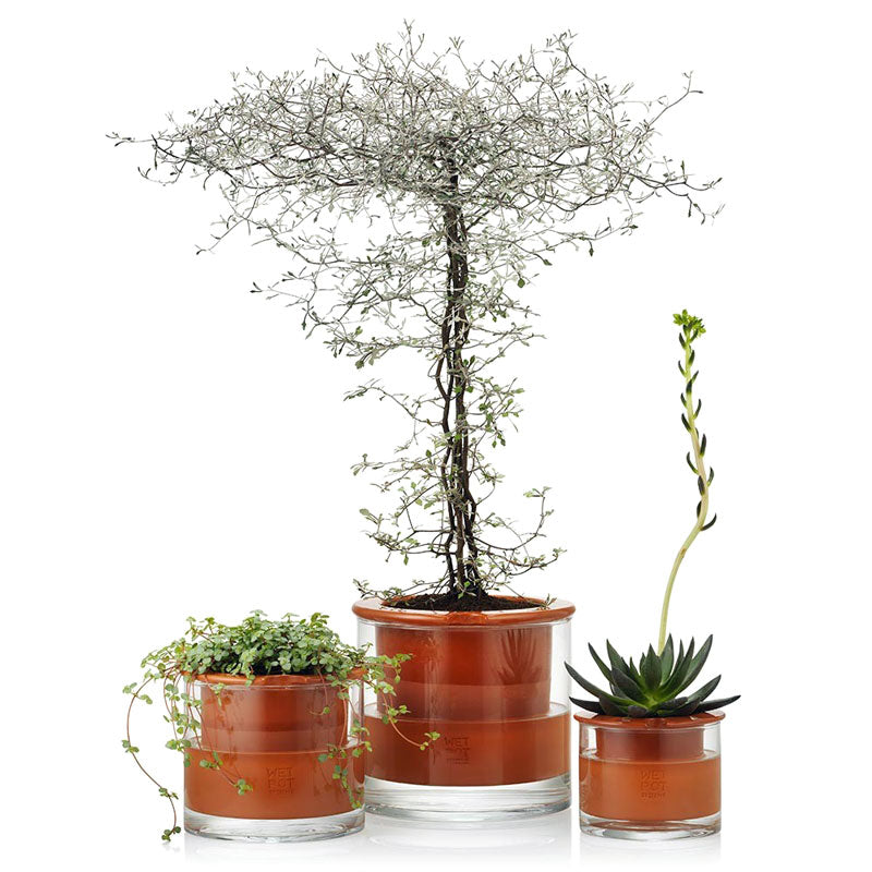 WET POT XS Pot en céramique autonome avec réserve d'eau