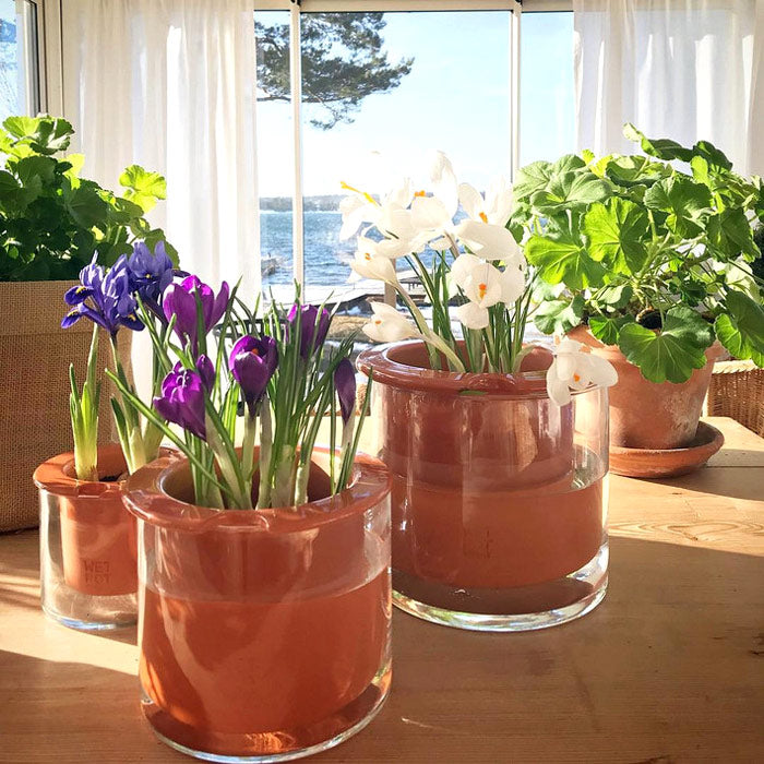 associer plusieurs tailles de wet pot, c'est donner une touche déco super sympa chez soi