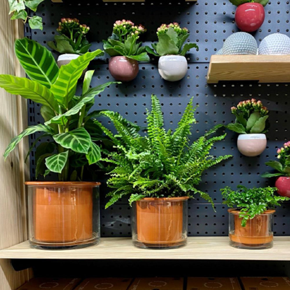 pots design et intelligents wet pot plusieurs tailles