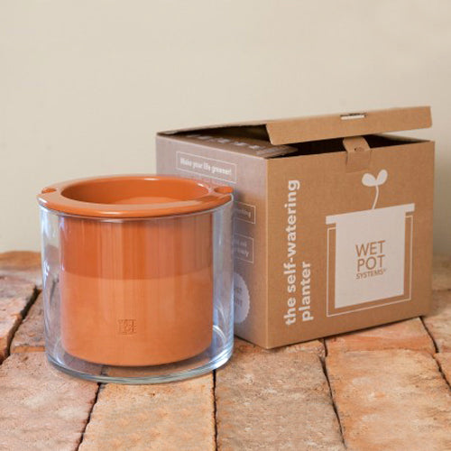 WET POT taille L avec sa boite. Grand pot en céramique avec réserve d'eau en verre, pour des plantes vertes heureuses et épanouies