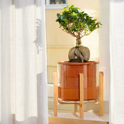 Wet Pot L + Support de plante Wet Pot Rack - taille L