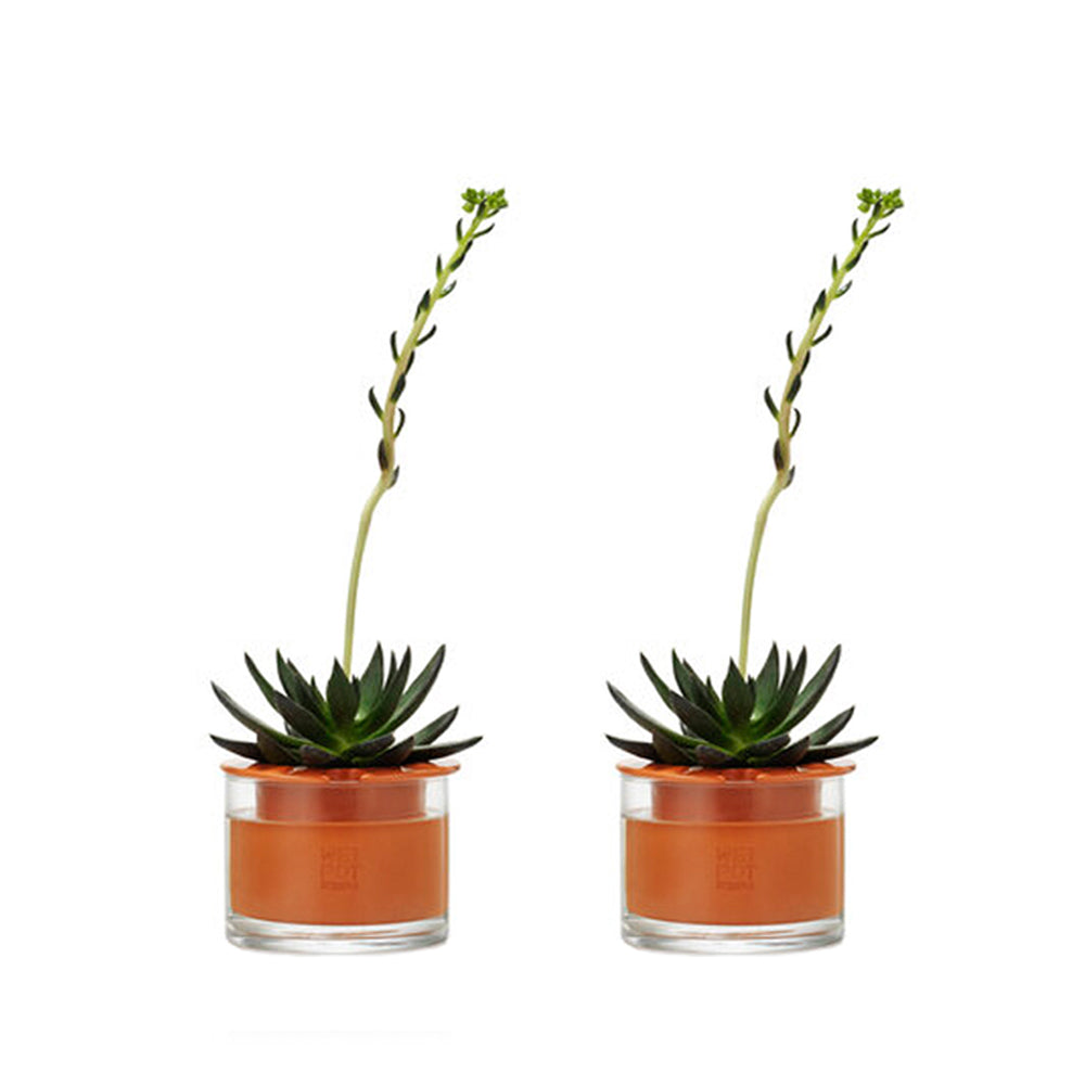 lot de deux pots à réserve d'eau wet pot taille xs