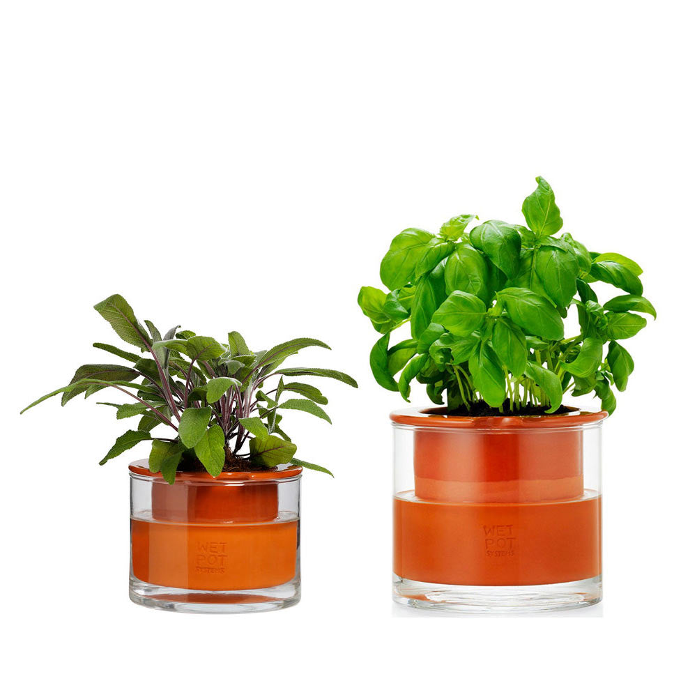 Wet pot taille XS et S vendus en lot. Lot idéal pour vos petites plantes et vos herbes aromatiques