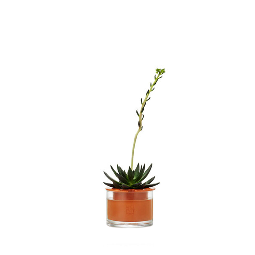 pot en terre wet pot xs Xsmall